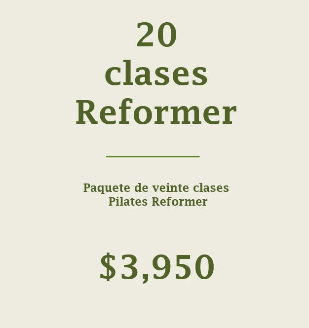 [20_CLASES_REF] 20 Reformer Clases